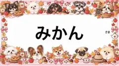 専用