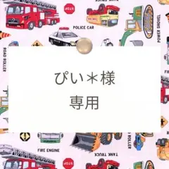 ぴい＊様専用【レッスンバッグ/巾着/靴袋/体操着袋】ハンドメイドオーダー
