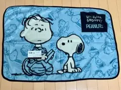 スヌーピー&チャーリー・ブラウン ブランケット【非売品】【新品・未使用品】