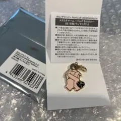 ポルノグラフィティ メタルチャーム FCUW6 foo? Edition