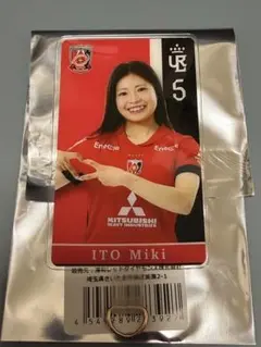 浦和レッズレディース　伊藤美紀選手　プレーヤーズフォンタブ