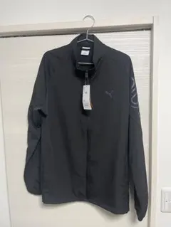 Item thumbnail for item dccab526-7205-42c9-a9af-1ab86e51f058