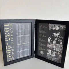 Item thumbnail for item a25adee7-72ba-4a76-acf8-24c7873a90f2