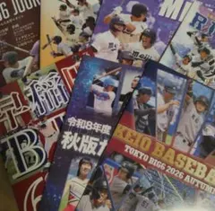 ★東京六大学野球部 応援パンフレット★コンプリート