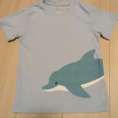 Item thumbnail for item 2a6eff09-6e20-42f2-a020-ec75a9b35da1