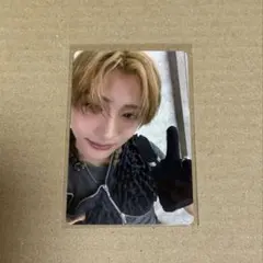 ALD1 日本 ショケ トレカ サンウォン