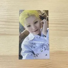 SEVENTEEN face the sun ユニバ特典 ウジ トレカ