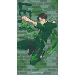 2026年最新】リヴァイ等身大タペストリーの人気アイテム - メルカリ
