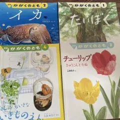 かがくのとも　絵本　11冊セット