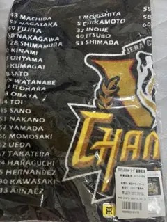 Item thumbnail for item 939a8f5a-df62-4015-8b97-835078257514