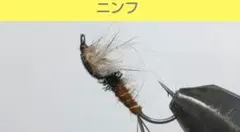 Item thumbnail for item 2240bf6d-a670-4d84-945b-69bd063bbb6a