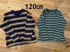 ストライプ柄長袖カットソー2点セット 120㎝