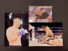 Item thumbnail for item 179605a2-aeb5-497c-9bc7-ab12df35d1e6