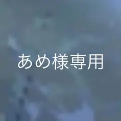 専用ページですので他の方はご購入お控えください