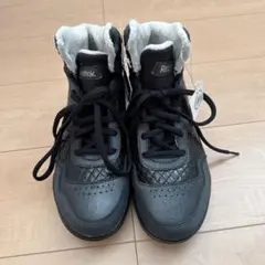 Item thumbnail for item 60a14167-9d01-4c3f-be13-300985446695