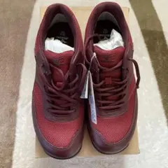 Mizuno ゴアテックスユニセックス ウォーキングスニーカー24.5㎝EEE