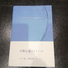 孔雀 映画 パンフレット 浅野忠信 クリストファードイル - メルカリ
