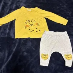 Tシャツとパンツセット 虎柄