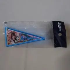 オリックス・バファローズ ペナントキーホルダー 380AYAKA
