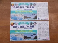 即発送　ユネッサン無料入場券（パスポート）２枚　藤田観光