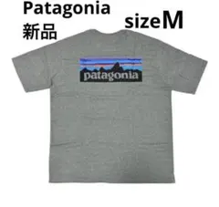 パタゴニア Patagonia 38504 Tシャツ GLH/M 送込のサムネイル