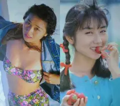 石野真子 1978年〜1983年 大量 切り抜き ファイル 2冊 120P - メルカリ