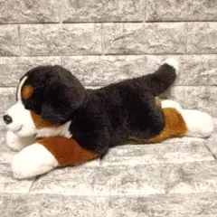 レガロ　バーニーズマウンテンドッグ 犬 ぬいぐるみのサムネイル