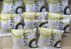 薩摩蒸気屋 油で揚げないどうなつ 焼きどうなつ 8個 他のサムネイル