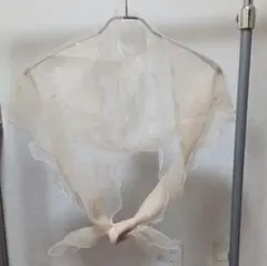 Item thumbnail for item 77270cde-8b17-48a1-ac0f-6713dc84650e