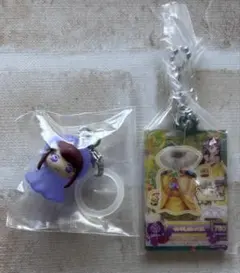 アイカツ！ めじるしアクセサリー 紫吹蘭 アイカツカードキーホルダー紫吹蘭セット