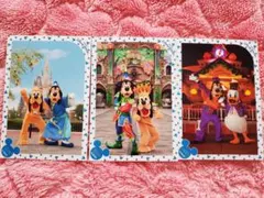 ディズニースペシャルフォト グプルドナ