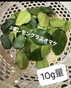 セットレモングラス200gコブミカン葉30gパンダンリーフ5 枚ホムデンオマケ。 セットレモングラス200gコブミカン葉30gパンダンリーフ5 枚ホムデン