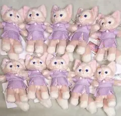 ぬいぐるみバッジ　ダッフィー＆フレンズ　ワンダフルフレンドシップ　リーナベル10