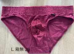HOM オム L 新品未使用　廃盤品　ビキニ　ストリングス　Tバック 希少 J9のサムネイル