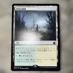 草茂る農地/Overgrown Farmland 1枚 日本語 MTG