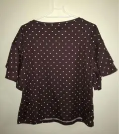 ❤︎GUのブラウンと白の水玉模様のシフォン半袖です❤︎限界価格です。