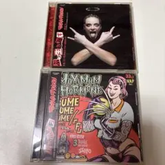 マキシマムザホルモン 邦楽