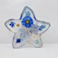 ヒトデ　固まるハーバリウム　小物入れ