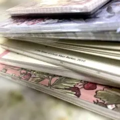 Item thumbnail for item ca48af8e-1902-4583-904f-ce8c81199e7f