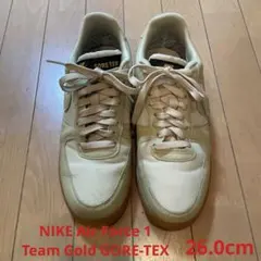 NIKE Air Force 1 Team Gold GORE-TEX