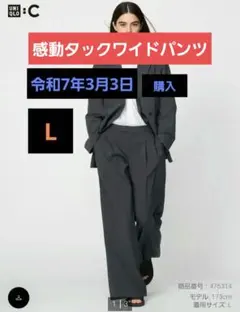 感動タックワイドパンツ　ダークグレー　L　タグ付き