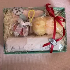 バスギフトセット/お祝い/プレゼント/バスケア/入学祝い/カラリズーイ