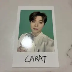 SEVENTEEN ディノ　トレカ　follow