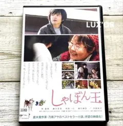 家政婦は見た！２０巻セット　市原悦子　レンタル品　新品ケース入り 家政婦は見た！20巻セット 市原悦子 レンタル品 新品ケース入り