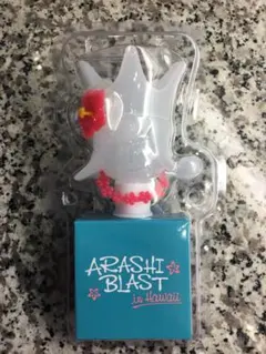 お値下げ⭐︎嵐 ARASHI BLAST in Hawaii 公式 ライト