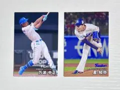 プロ野球チップスカード 万波中生 星知弥 2枚セット