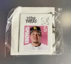 山川穂高　ソフトバンクホークス　キーホルダー