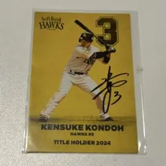 Item thumbnail for item 863216f0-3f50-4216-85a6-c7fb9ae90afb