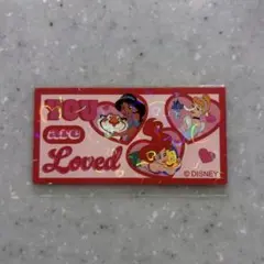 東京ディズニーリゾート チョコチップクッキー プリンセス シール