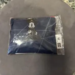 Item thumbnail for item b08f0b06-0c69-435c-9d2a-1e02eb4c4ee9